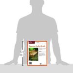 Fine Woodworking’s Japanese Garden Bench Plan (Fine Woodworking Project Plans)