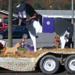 A Woodworking Plan to Build a 3-d Life Size Horse (No Wood Included)